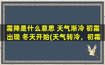 霜降是什么意思 天气渐冷 初霜出现 冬天开始(天气转冷，初霜降临：认识霜降节气及其文化含义)